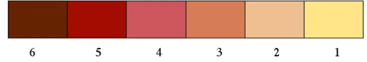 Gambar 7. Skoring perubahan warna Daphnia sp. (Deken, 2005)