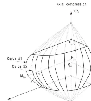 Figure 1 A Typical Column Interaction Surface