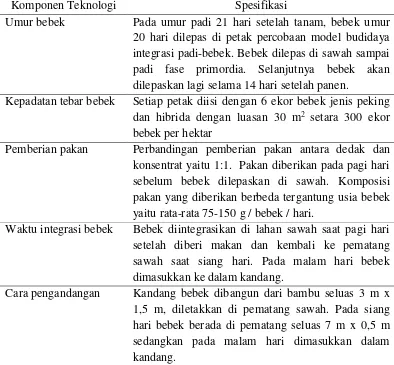 Gambar 3.16 Integrasi padi-bebek-azolla (perlakuan; N2P1) 