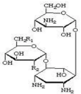 Gambar 6. Rumus Molekul Streptomisin (Windiasari, 2009)