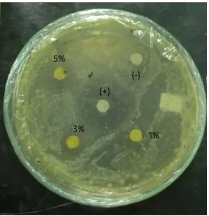 Gambar 9. Hasil Uji Aktivitas Antibakteri farksi n-heksanterhadap Ralstonia solanacearum