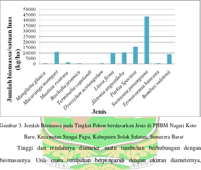 Gambar 3. Jumlah Biomassa pada Tingkat Pohon berdasarkan Jenis di PHBM Nagari Koto