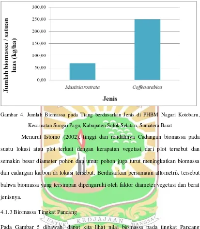 Gambar 4. Jumlah Biomassa pada Tiang berdasarkan Jenis di PHBM Nagari Kotobaru,