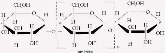 Gambar II.1. Rumus struktur amilosa (Dziedzic and Kearsley, 1995) 