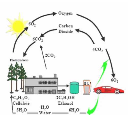 Gambar 2.5 Daur ulang karbondioksida pada siklus bioetanol (Sheehan, 1998). 