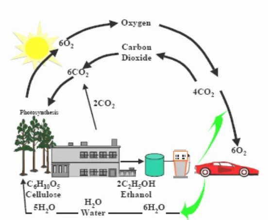 Gambar 2.5  Daur ulang karbondioksida pada siklus bioetanol. 