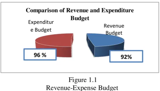 Figure 1.1 Revenue-Expense Budget  
