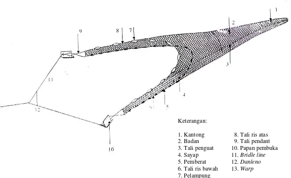 Gambar 1  Sketsa jaring arad 