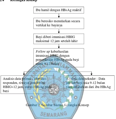 Gambar 2. Gambar Skema Kerangka Konsep