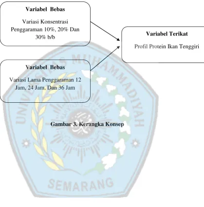 Gambar 3. Kerangka Konsep 