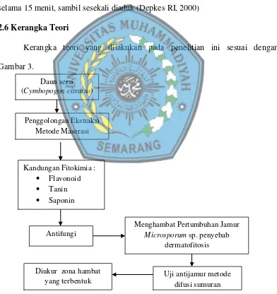 Gambar 3.  Daun serai             