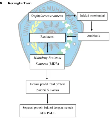 Gambar 2. Kerangka teori 