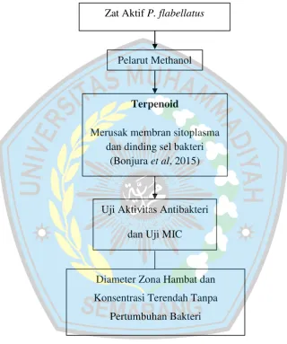 Gambar 1. Kerangka Teori 