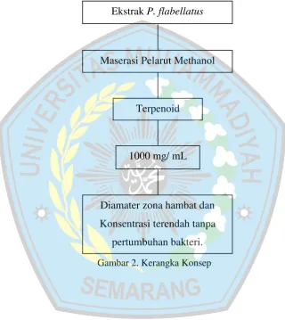 Gambar 2. Kerangka Konsep 