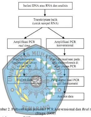 Gambar 2. Perbandingan prosedur PCR konvensional dan Real time 