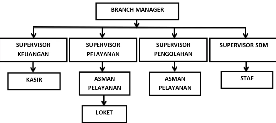 Gambar 4.1 Struktur organisasi PT Mega Kargo Cabang Bandung 