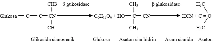 Gambar 2. Reaksi pembentukan asam sianida 