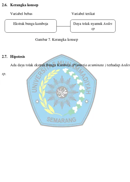 Gambar 7. Kerangka konsep 