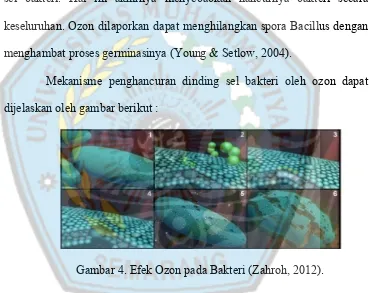 Gambar 4. Efek Ozon pada Bakteri (Zahroh, 2012).