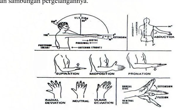 Gambar 3.2. Terminologi untuk Gerakan Tangan dan Lengan 
