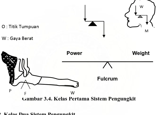 Gambar 3.4. Kelas Pertama Sistem Pengungkit F 