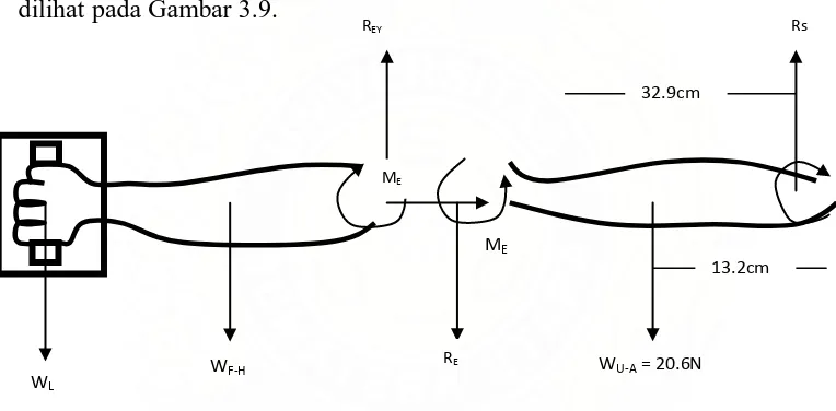 Gambar 3.9. Two Segment Static Model (Caffin & Anderson) 