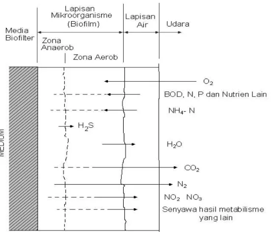 Gambar 2. 5 Mekanisme Proses Metabolisme Di Dalam Proses Dengan Sistem 