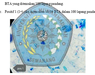 Gambar 2.1 Hasil Pemeriksaan BTA Positif 1 