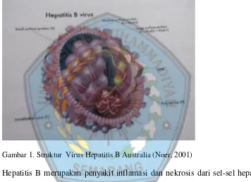 Gambar 1. Struktur  Virus Hepatitis B Australia (Noer, 2001)