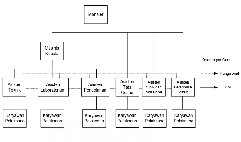 Gambar 2.2. Struktur organisasi PT. Perkebunan Nusantara III 