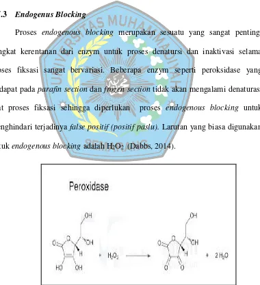 Gambar 2. Reaksi Peroxidase terhadap H2O2 (Dabbs, 2014) 