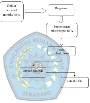Gambar 1  