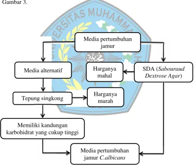 Gambar 3.Media pertumbuhan