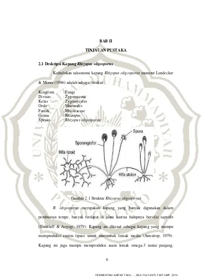 BAB II TINJAUAN PUSTAKA 2.1 Deskripsi Kapang Rhizopus Oligosporus - EKA ...