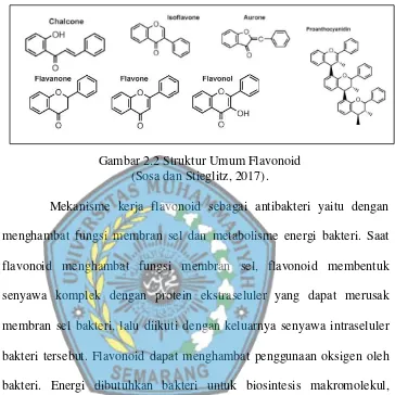 Gambar 2.2 Struktur Umum Flavonoid 