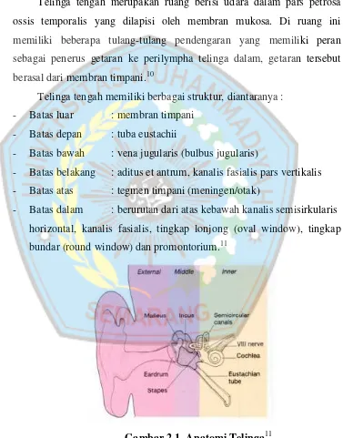 Gambar 2.1. Anatomi Telinga11