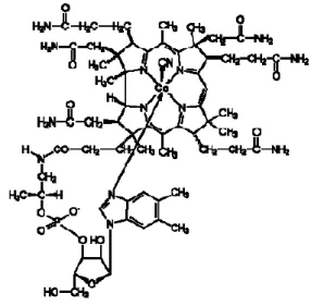 Gambar  .  (dimethyl-5,6-benzimadazolyl)  hydroxocobamide 