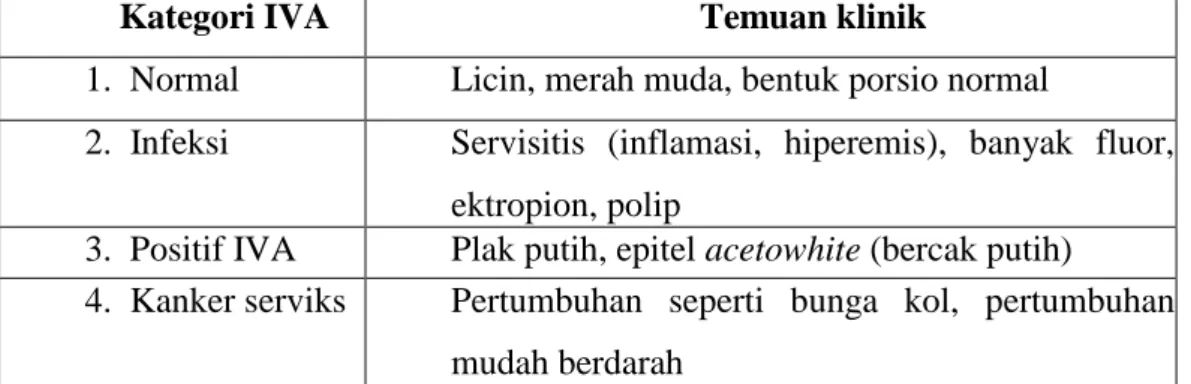 Tabel 3. Kategori temuan IVA 5