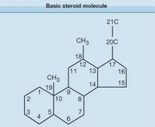 gambar 1 basic molekul steroid  