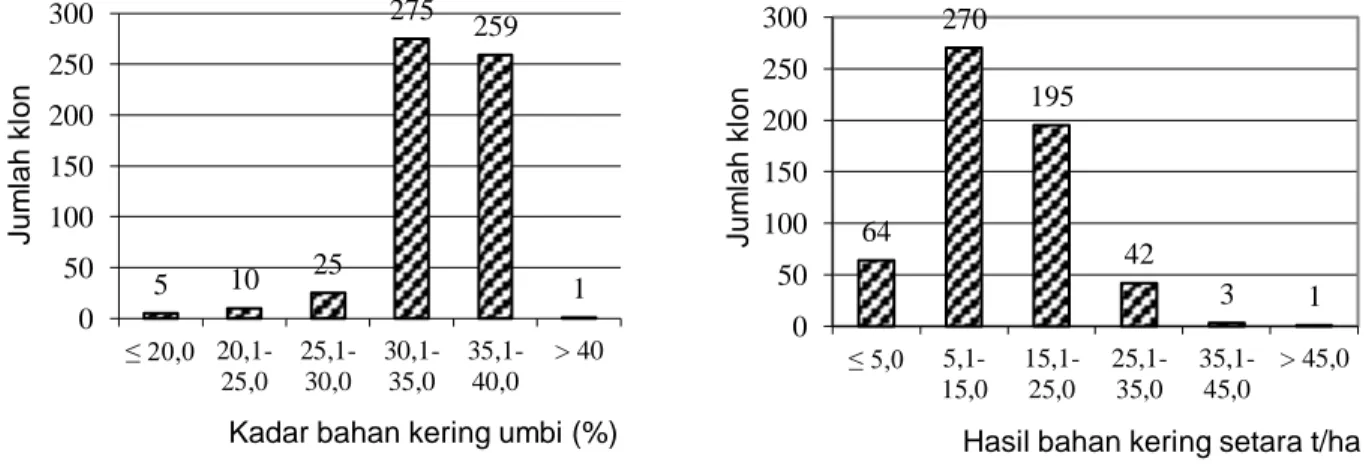 Gambar 6. Distribusi frekuensikadar bahan kering umbi dan hasil bahan kering 575 klon ubi kayu  berumur 11 bulan