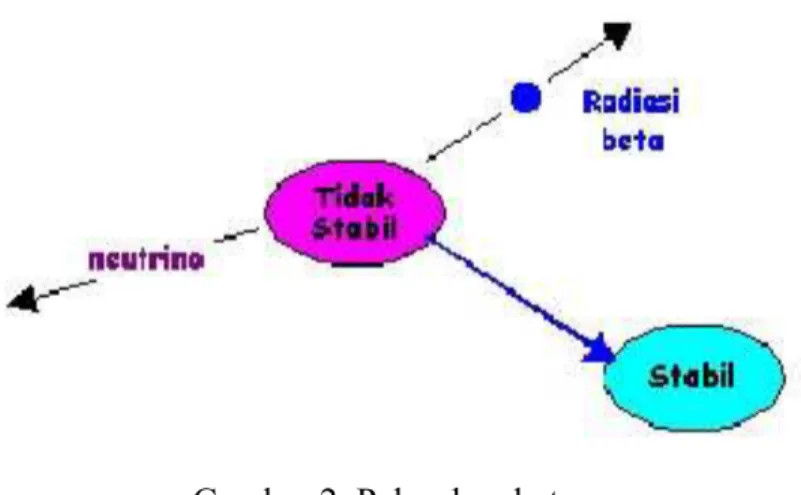 Gambar 2. Peluruhan beta