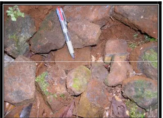 Foto 2. Bongkahan bijih besi pada zona lateritik di daerah Bukit  Belah;