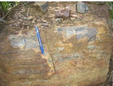 Foto 1. Kenampakan magnetit berlapis dalam batuan dunit terubah di S. Kusan
