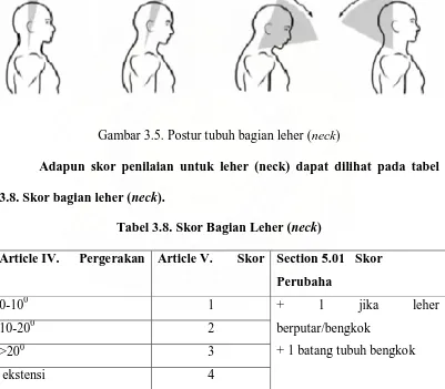 Tabel 3.8. Skor Bagian Leher (neck) 