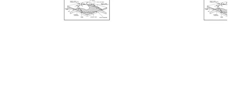Gambar 3.1. Seting tektonik pembentukan sesar mendatar pada skala besar (Cunningham &amp; Mann, 2007)