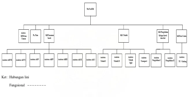 Gambar 2.1. Struktur Organisasi PT. Perkebunan Nusantara IV Unit Pabatu