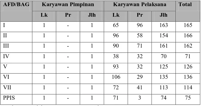 Tabel 2.3. Jumlah Tenaga Kerja PTP Nusantara IV (Persero) PadaTanaman Kelapa Sawit Unit Kebun Pabatu  