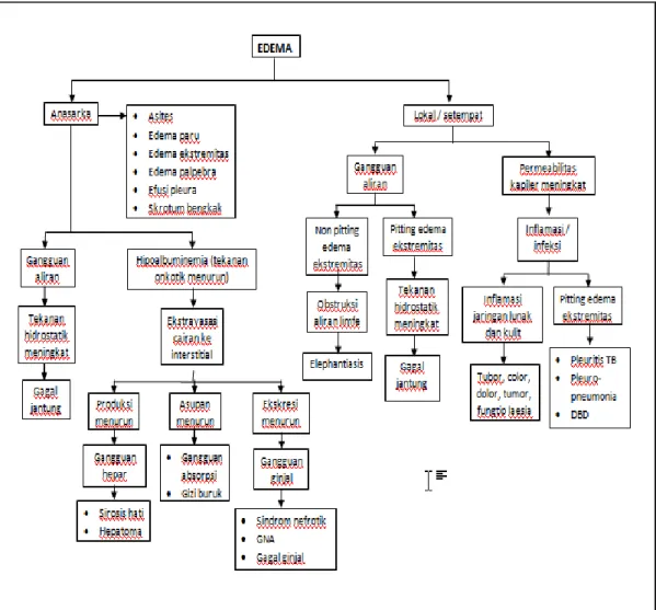 Gambar 2.Skema Penyebab edem  2 