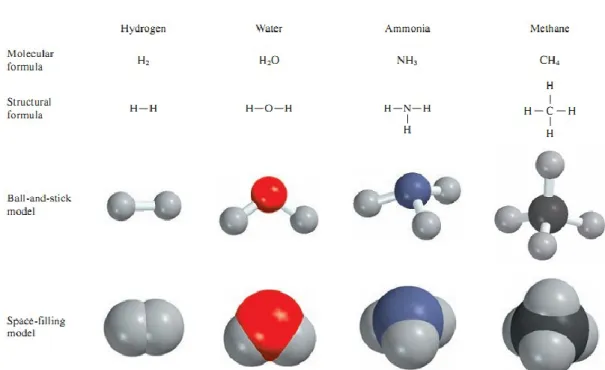 Gambar 2.11 Rumus molekul dan rumus struktur serta model molekul empat molekul yang umum 