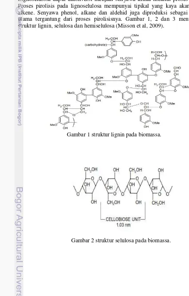 Gambar 2 struktur selulosa pada biomassa. 